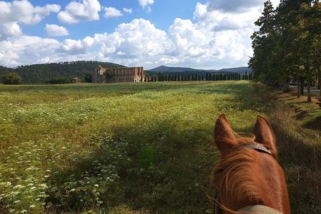 Horse Riding in Tuscany for Experienced Riders: Full-day Trail Ride
