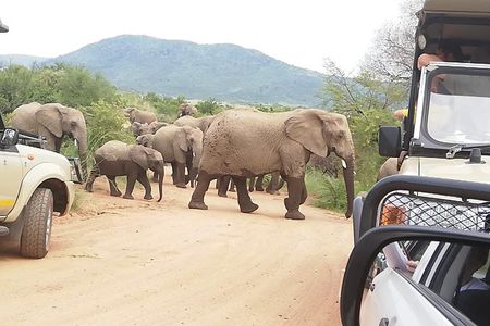 3 day Kruger National Park end with panaroma