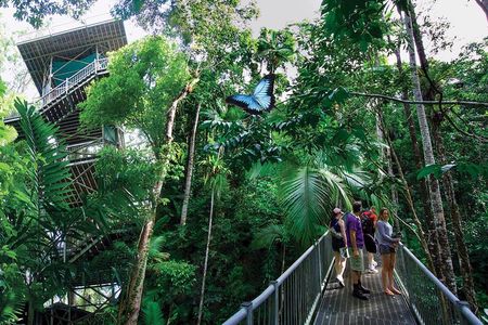 Daintree Discovery Centre Single Pass