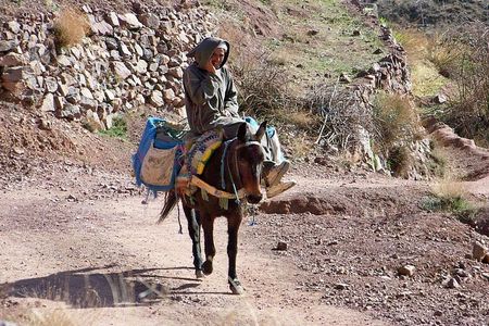 Day tour in high Atlas mountains