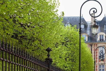 Marais semi private walking tour