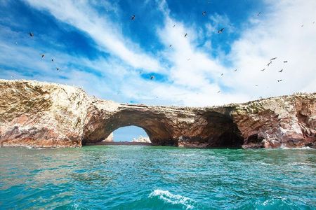 Ballestas and Paracas from Lima by bus