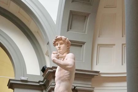 Florence: 1-hour Accademia Gallery guided experience with entrance tickets 