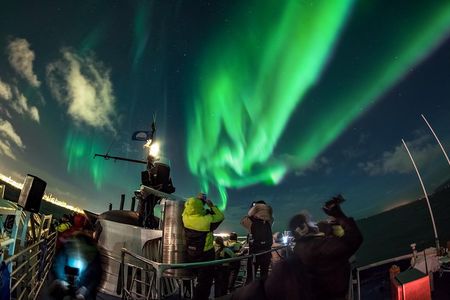 Iceland Super Saver: Northern Lights Cruise plus Whale-Watching Tour from Reykjavik