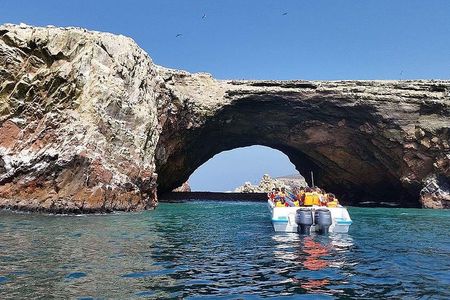 From Lima: Ballestas, Nazca Lines & Huacachina Oasis