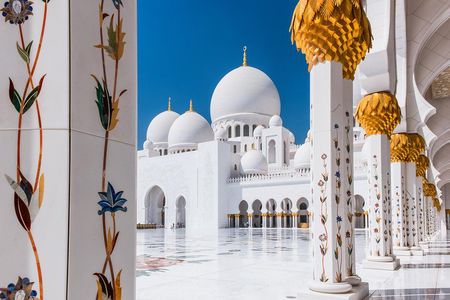 Abu Dhabi city tour & desert safari from Dubai