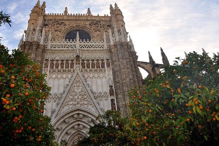Seville Cathedral & Giralda: Guided Tour with Fast-Track Tickets