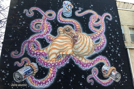 Offbeat Street Art Tour of Chicago