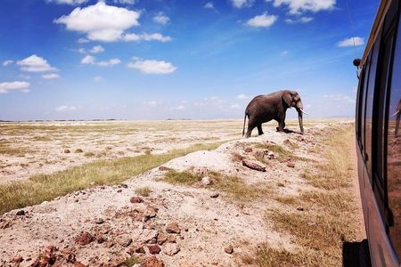 Day Tour to Amboseli National Park