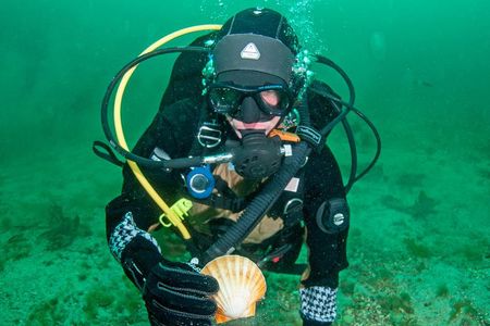 First Time Diver Scuba Experience