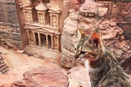 Jordan Family Holiday