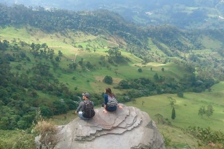 Hiking High Andean Forests