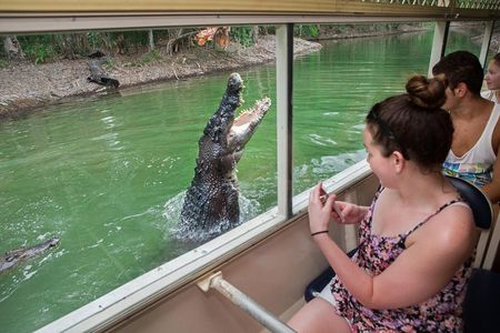 Hartley's Crocodile Adventures Day Trip from Cairns