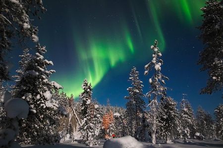 Aurora Borealis Picnic in Rovaniemi