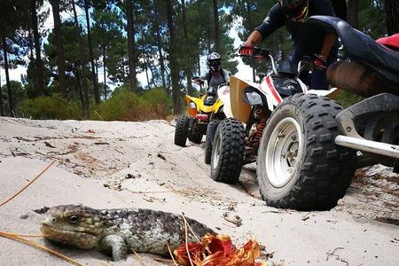 1 Hour Quad Bike Tours, only 30 minutes from Perth