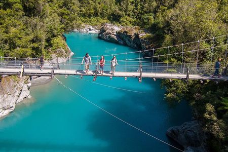 Explore Hokitika Gorge and Tree Top Walkway
