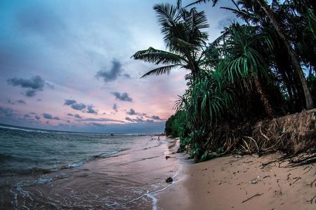 Sri Lanka Beach Best Tour Of 11 Days