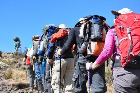 Mt.Kilimanjaro Short Trek Safari