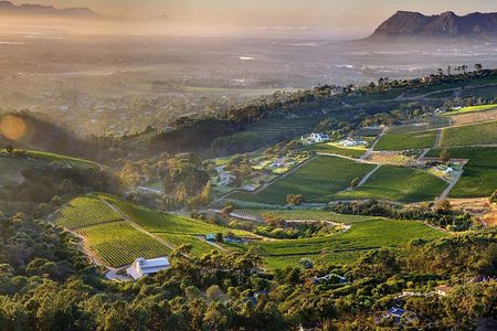 Full day Cape Point + Constantia Wine Tour with Private Transfer