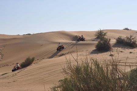 Dubai Desert Afternoon Quad Safari with Camel Ride, BBQ Dinner and Belly Dancing