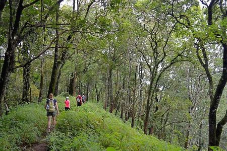 High Mountain Day Trek