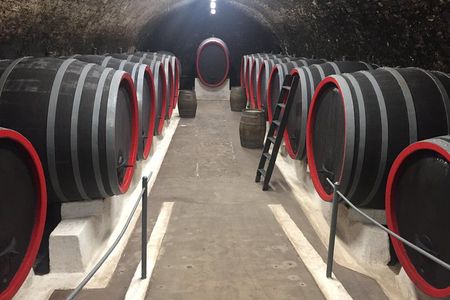 Private wine, food & heritage tour from Prague to Bohemia