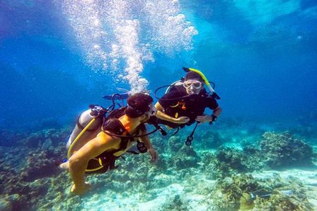 Roatan Scuba Shore Diving plus Transportation