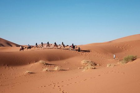 Camel Riding In Dubai Desert