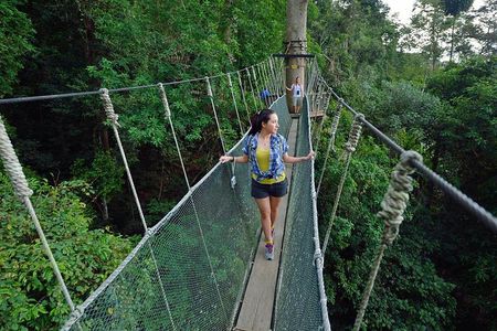 Kinabalu Park, Desa Dairy Farm & Poring Hot Springs Tour