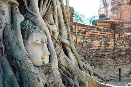 Explore the ancient capital of Ayutthaya by tuk-tuk
