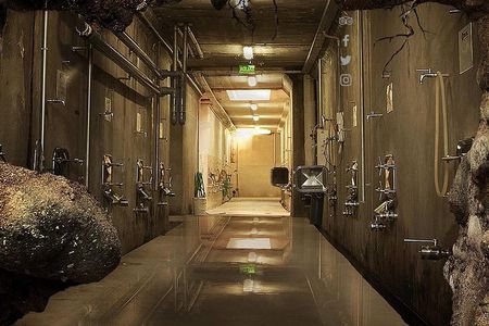 Renacer Winery Experience