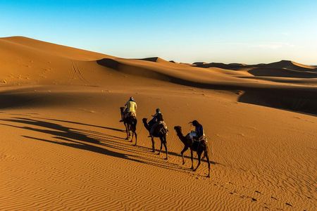 Day Trip to Erg Chigaga Dunes from Zagora 