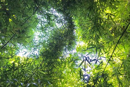 Private Halfway to Hana Tour