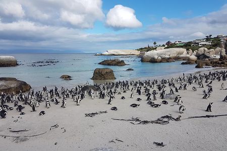 Private Cape Peninsula Tour - Cape Point, Cape of Good Hope sightseeing