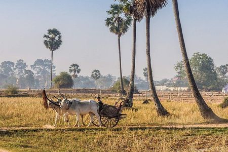 Private tour: Preah Khan Kompong Svay and Sambor Prei kuk Temples