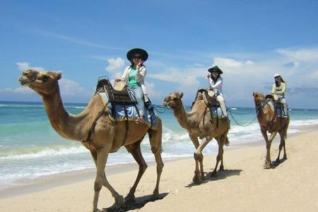 Camel Safari One Hour In White Sand Beach And Uluwatu Temple