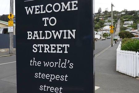 A 2 hour Small Group Dunedin City Highlights Tour