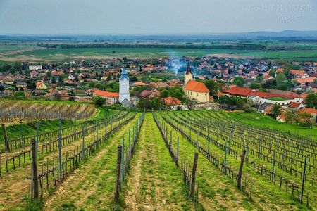 Tokaj Full Day Private Wine Tour from Budapest