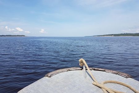 8-Hour Amazonas Jungle Treck & Anavilhanas Archipelago
