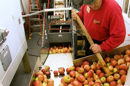 Fly Creek Cider Mill & Orchard - Private Tour with Owner