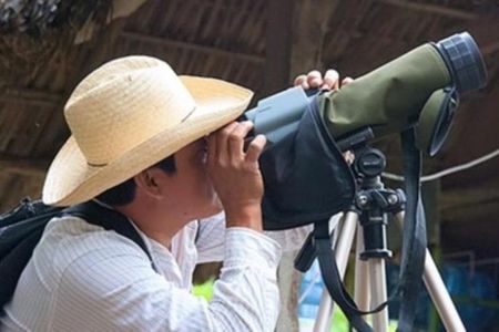 Bird watching in La Mancha