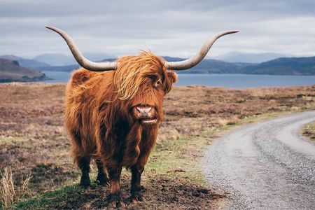 Glasgow: Isle of Skye, The Highlands and Loch Ness - 3 Day Tour