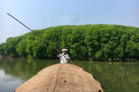 Into the Mangroves: Calicut Mangrove Trail by Tyndis 