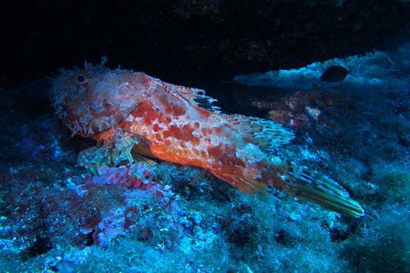 Etna & Diving Jeep Tour