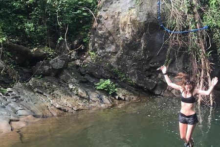 El Yunque Rainforest Tour with Transport from San Juan