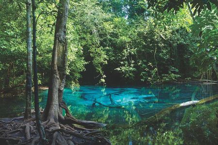 Kayaking in Ao Thalane - Discover the Mangrove life