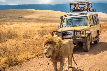 4 Days Private Safari - Tarangire, Serengeti & Ngorongoro Crater 