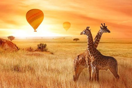 5 Days Private Safari- Tarangire, Serengeti, Ngorongoro & Manyara