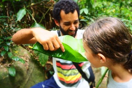 Forest Forager - Wild Food Walk