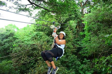 Eco-Adventure Park Premium Day Pass 